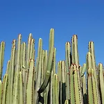 Vista Golf 10 By Villagrancanaria