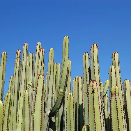 Vista Golf 10 By Villagrancanaria